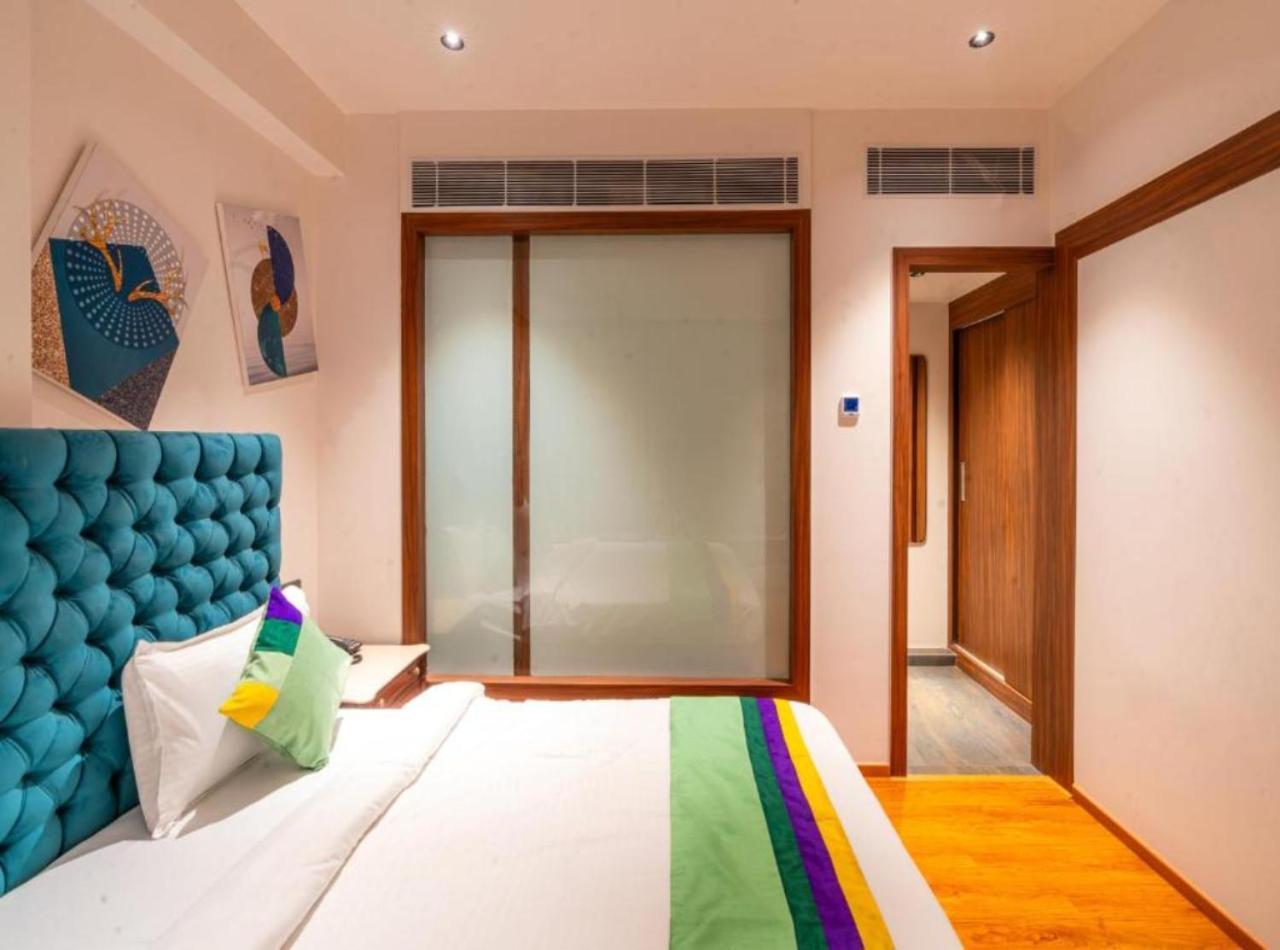 Hotel Vijaydeep Palace Near Delhi Airport 新德里 外观 照片